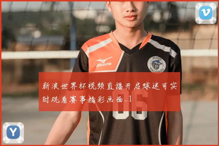 新浪世界杯视频直播开启球迷可实时观看赛事精彩画面_1
