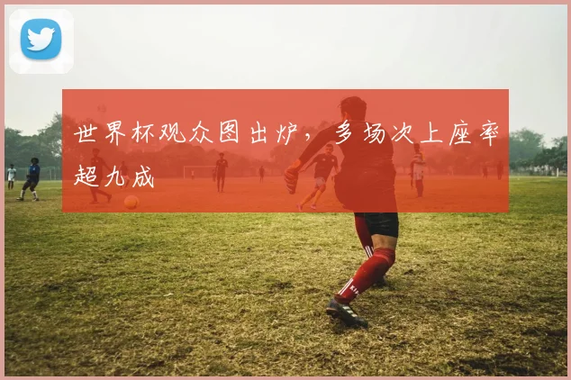 世界杯观众图出炉,多场次上座率超九成