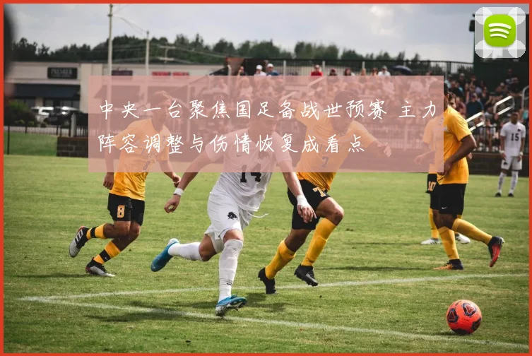 中央一台聚焦国足备战世预赛 主力阵容调整与伤情恢复成看点